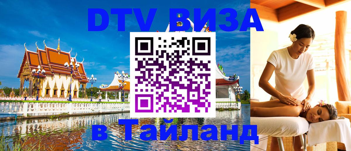 Сколько стоит DTV виза — актуальные цены, оформление даже без документов - 08.01.2026 